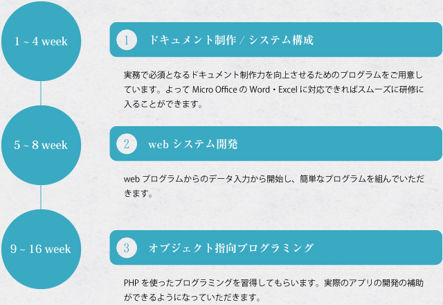 curriculum.png